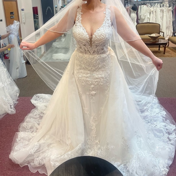 Demetrios 1220 Wedding Dress and detachable train - Picture 4 of 5